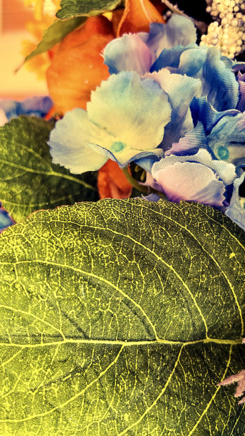 抽象的背景图片下载