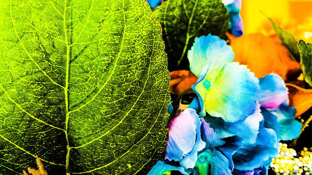 抽象的背景图片下载