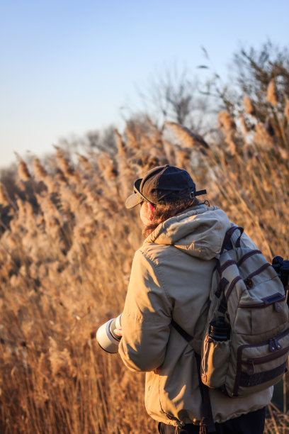 野生动物摄影师躲在自然栖息地图片下载