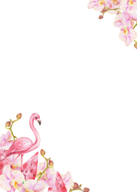 框架与水彩画火烈鸟和鲜花。图片下载