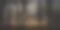 全景拍摄一个美丽的，宁静的夜间场景在森林图片下载