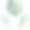 手绘水彩元素。外来热带植物大绿色羽毛怪物叶。孤立在白色背景上。设计墙面艺术，婚庆，印花，面料，封面，卡片，旅游，旅游小册子。图片下载