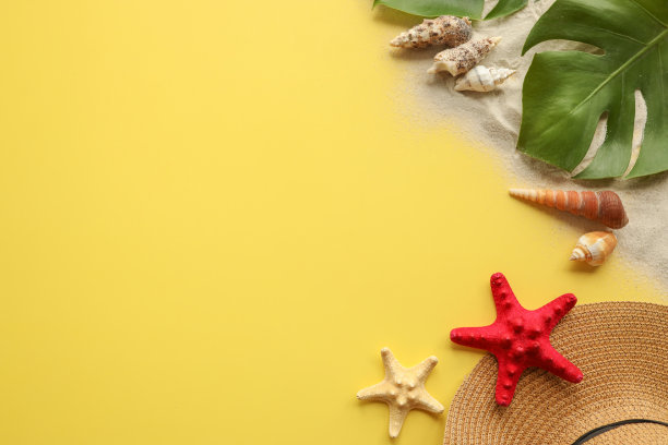 帽子，沙子，黄色夏日背景上的贝壳，文字空间图片下载