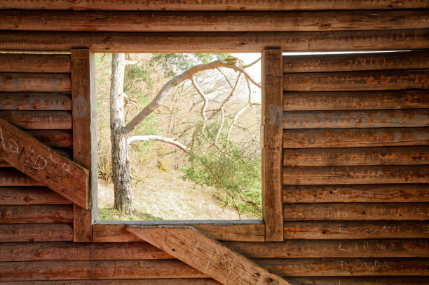 谷仓窗户提供了室外树木的视野图片下载