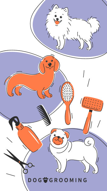 梳理12图片下载