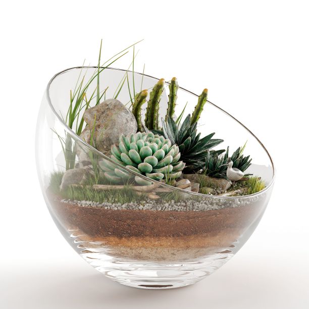 带有植物的玻璃花瓶，3d渲染图片下载