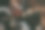 摩托车把手的特写镜头图片下载
