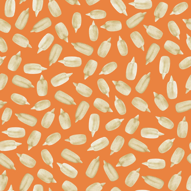 无缝水彩与葵花籽橙色背景。食物的例子。图片下载