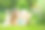 两个可爱的小姐妹在一个阳光明媚的夏日一起在草地上玩耍。图片下载