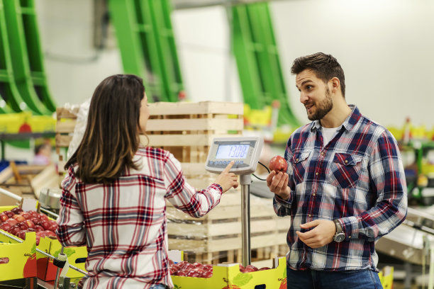 两个水果工厂的工人站在传送带旁，拿着苹果在秤上测量。图片下载