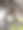 棕榈树的粗壮树干。棕榈树皮图案。植物学。木头的背景。图片下载