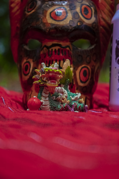 红布小龙图片下载