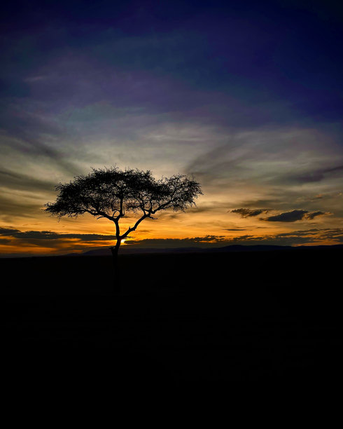 马赛马拉的日出图片下载