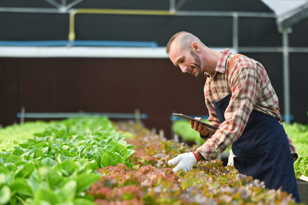 智能农民在平板电脑上分析农业数据，在温室工作。经营农业，创新科技。图片下载