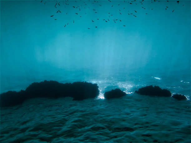 水下的海洋光照片图片下载