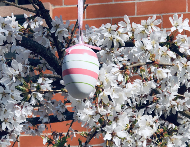 白花树上的复活节彩蛋图片下载