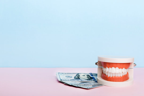 一个有白色牙齿和美钞的人类下巴的特写模型。牙科概念照片。假牙科。带有复制空间的假teet顶视图图片下载