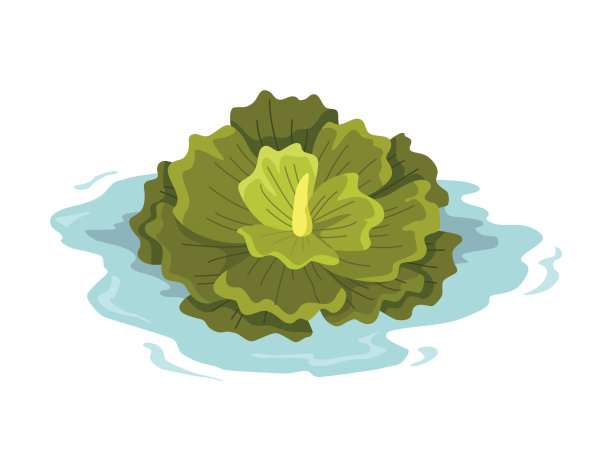 沼泽和湿地植物。手绘植物项目。沼泽动植物。普通植物生长在水中，孤立的插图图片下载