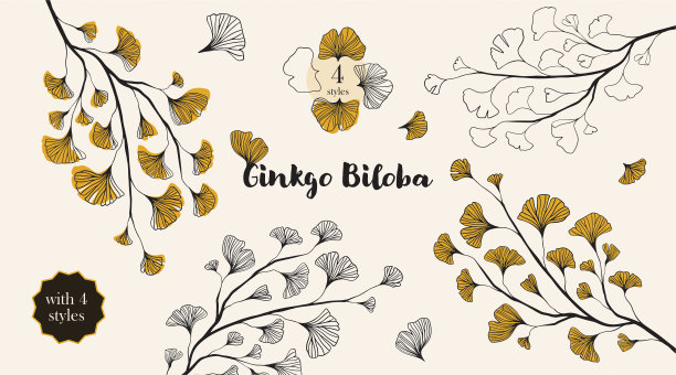 手绘银杏树剪影套孤立的白色，手绘银杏树剪影，手绘银杏树线条剪影，手绘日本矢量花线条剪影图片下载