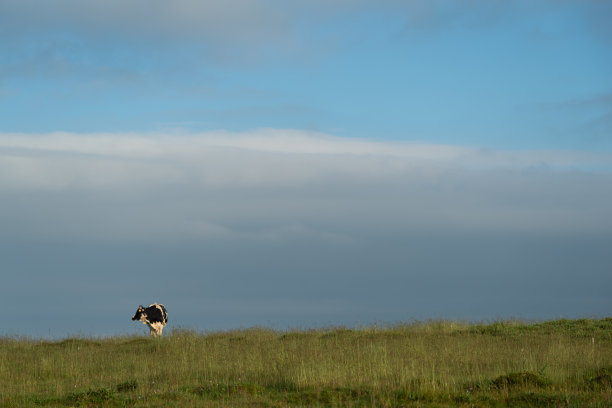 牧场图片下载