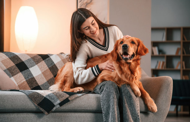 一起在沙发上。可爱的金毛猎犬和他的主人在房间里，一个年轻漂亮的女人图片下载