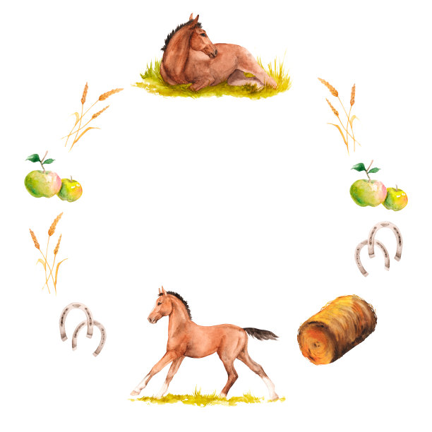 水彩画的花环与马驹驰骋和躺在绿色的草地，苹果，干草堆，马蹄铁图片下载