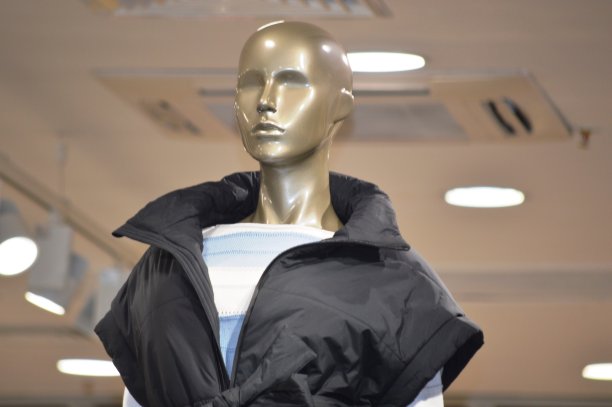 商店下载mannequin图片下载