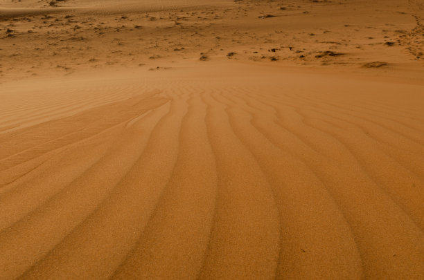 阿曼瓦希巴沙漠的沙图片下载