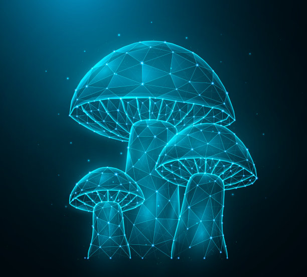 多边形蘑菇矢量插图隔离在深蓝色背景上。图片下载