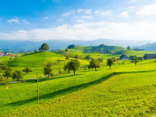 山顶上的树。日落前的风景。动物的田地和牧场。夏季农业景观。高分辨率照片。图片下载