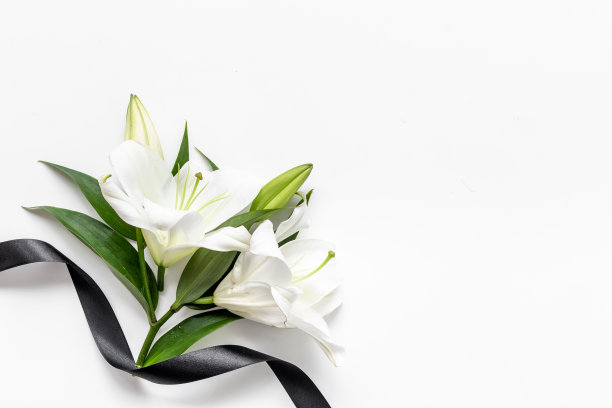 两朵白色百合花，黑色丝带。哀悼或葬礼背景图片下载