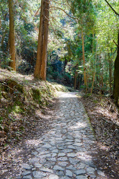 日本奈良的山部路是日本最古老的道路图片下载