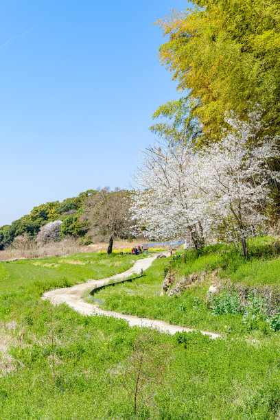 日本奈良的山部路是日本最古老的道路图片下载