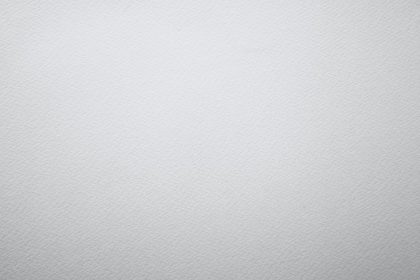 白皮书图片下载