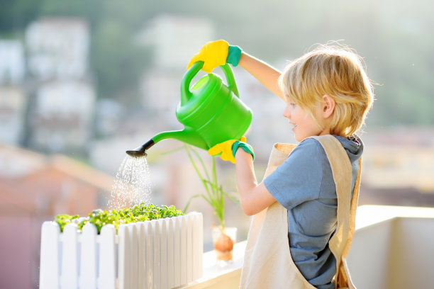 阳光明媚的夏天，可爱的男孩正在阳台上给自己种的小绿色植物浇水图片下载