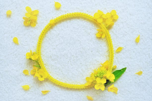 一个可爱的圆形框架材料，由油菜花和黄色商场，想象春天图片下载