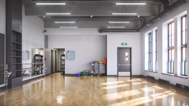 空荡荡的大厅。舞蹈室，有镜子和大窗户。三维演示图片下载