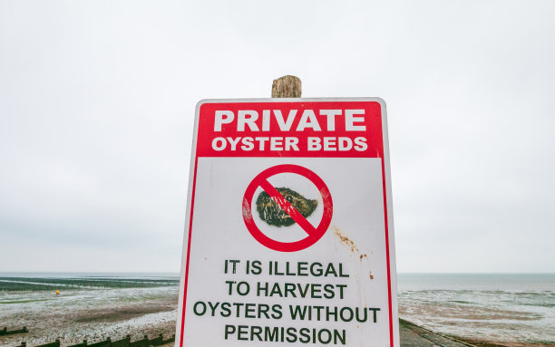 英国肯特郡惠斯贝尔的私人牡蛎养殖场图片下载