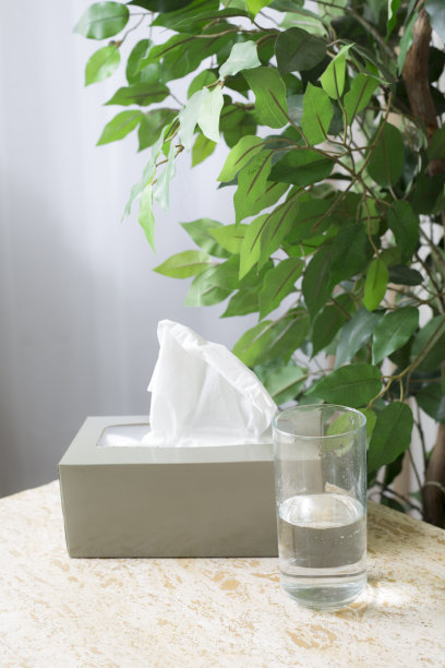 一盒纸巾放在桌子上，背景是绿色植物。纸巾盒旁边放着一杯水。图片下载