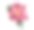 野生玫瑰粉红色花顶视图与叶，孤立在白色。手绘水彩狗玫瑰插图。手绘花卉元素-现实的盛开的花朵图片下载