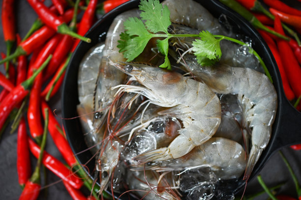 生虾冰碗虾，鲜虾海鲜，白虾香草和香料辣椒图片下载