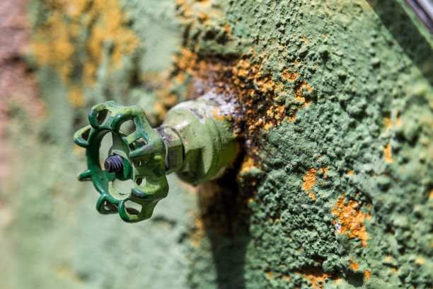 一所房子后院的旧墙上水龙头图片下载