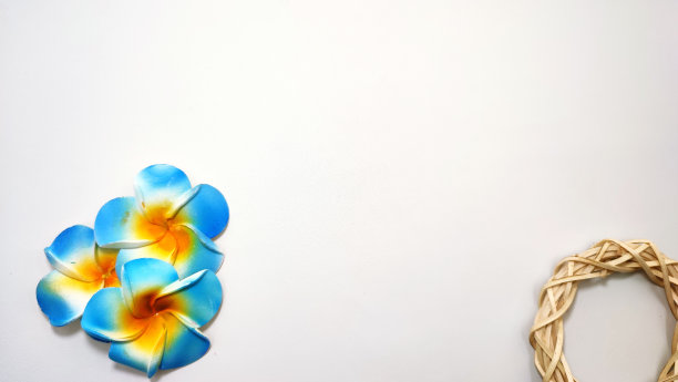 白色背景与装饰性的树叶和花朵图片下载