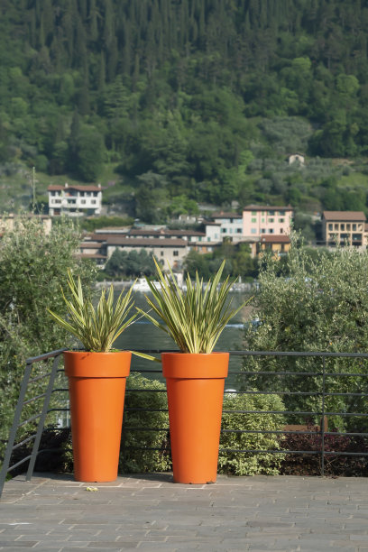 阳台上有两个大花盆。图片下载