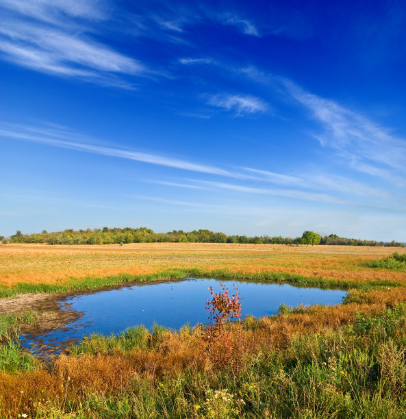 秋天草原上的一个湖图片下载