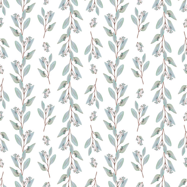 白色上的桉叶和花图案图片下载