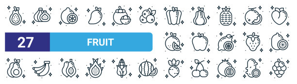 一套27轮廓网络水果图标，如番石榴，无花果，酸橙，玫瑰，香蕉，萝卜，葡萄矢量细线图标的网页设计，移动应用程序。图片下载
