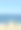 有海景的鸽子图片下载
