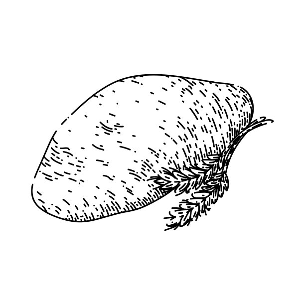 面团厨房素描手绘矢量图片下载