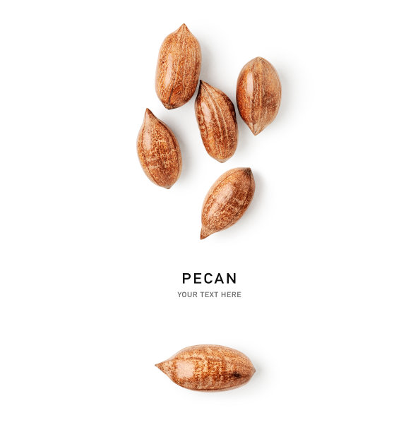 白色背景上孤立的山核桃创意布局图片下载